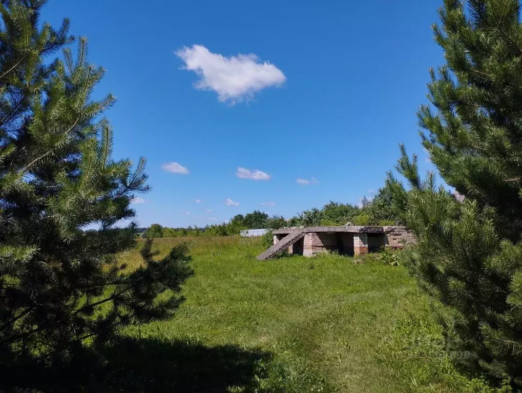 Участок в Орловская область, Орловский район, д. Извеково ул. ... - Фото 0