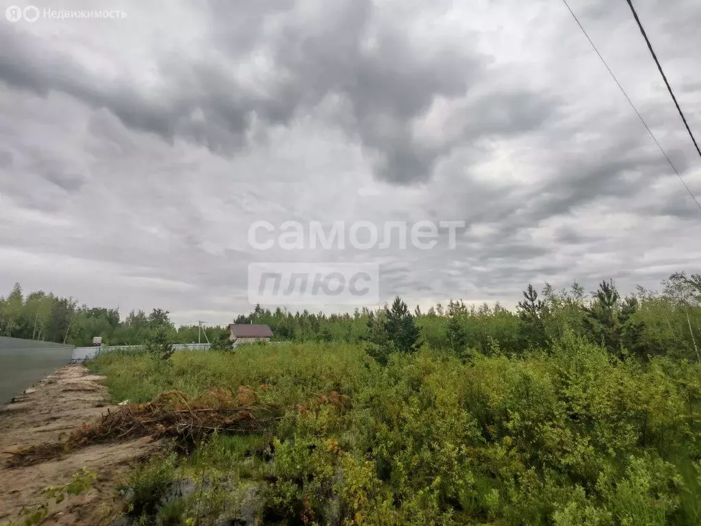 Участок в Шатура, Беговая улица (15 м) - Фото 1