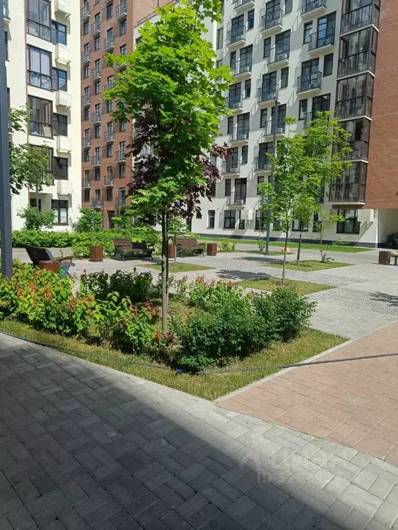 1-к кв. Ярославская область, Ярославль ул. Городской Вал, 15к1 (30.0 ... - Фото 1