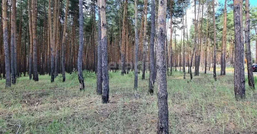 Участок в Белгородская область, Белгородский район, Поселок Разумное ... - Фото 1