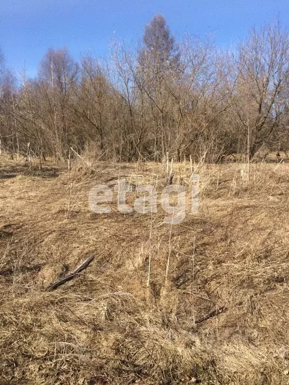 Участок в Владимирская область, Муромский район, с. Борисоглеб ... - Фото 1