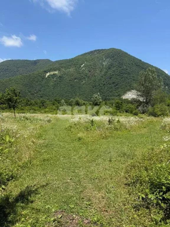 Участок в Краснодарский край, Туапсинский муниципальный округ, с. ... - Фото 1