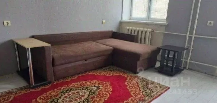 Студия Ивановская область, Кохма Просторный мкр, 5 (27.0 м) - Фото 2