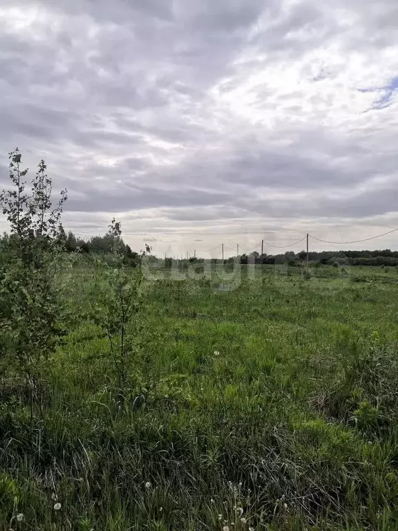 Участок 15 сот. (СНТ, ДНП) - Фото 0