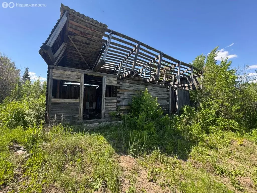 Участок в Курганская область, Кетовский муниципальный округ, ... - Фото 1
