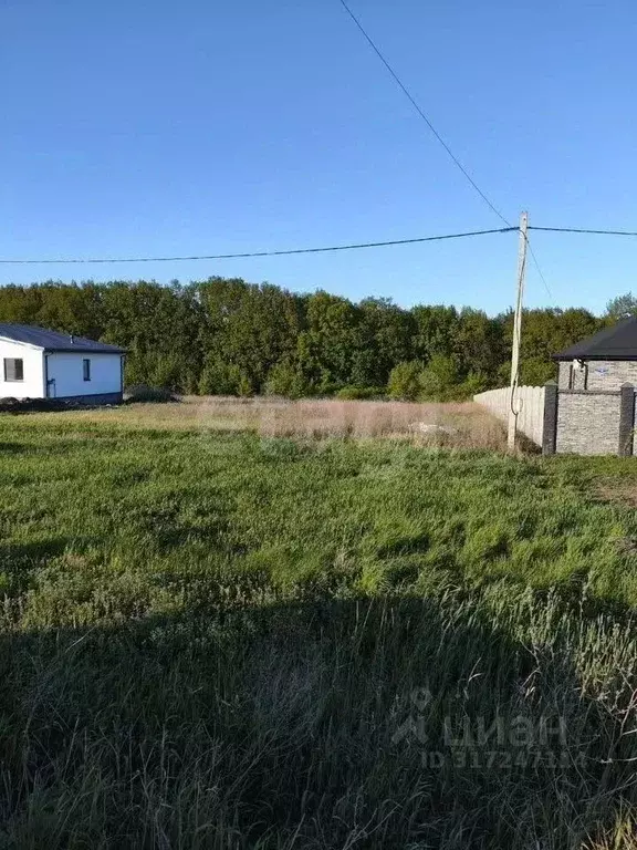 Участок в Белгородская область, Белгородский район, с. Стрелецкое, ... - Фото 0