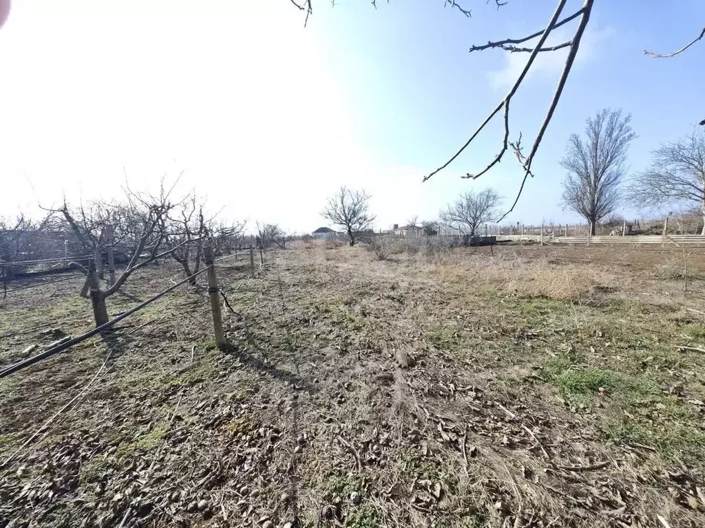 Участок в Крым, Сакский район, Лесновское с/пос, с. Владимировка, ... - Фото 2