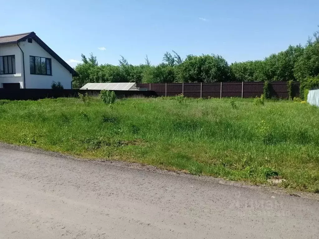 Участок в Московская область, Раменский муниципальный округ, Белаго ... - Фото 2