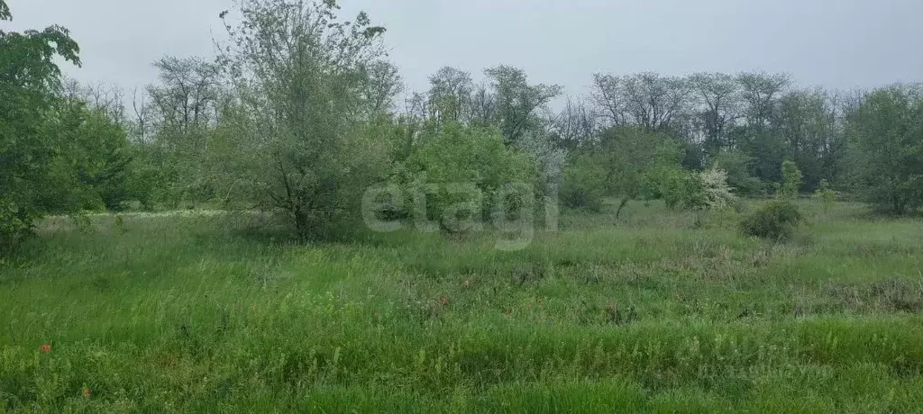 Участок в Ростовская область, Мясниковский район, Краснокрымское ... - Фото 0
