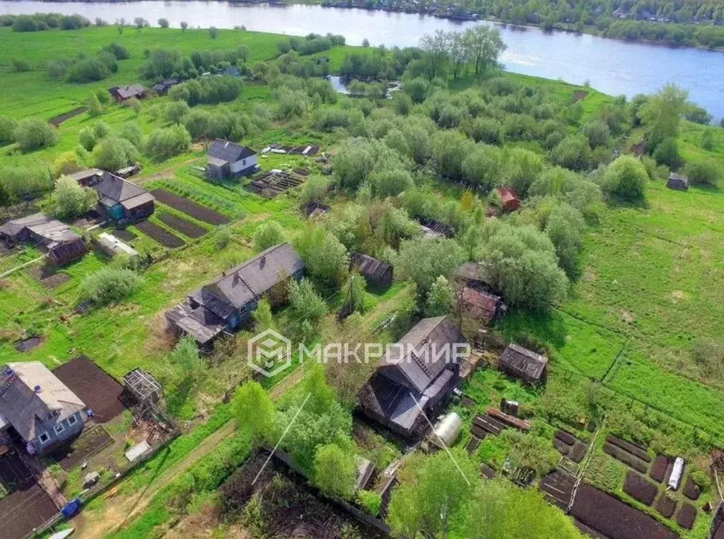 Участок в Архангельская область, Архангельск Бочага садовое ... - Фото 0