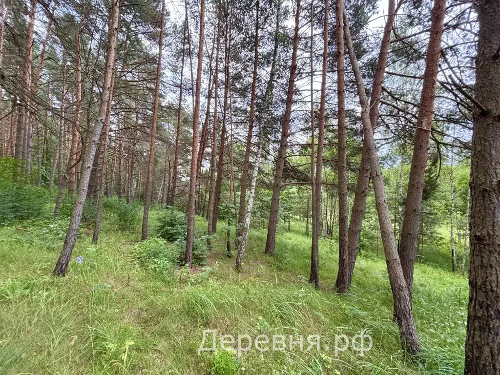 Участок в Калужская область, Дзержинский район, Угорское с/пос, ... - Фото 1