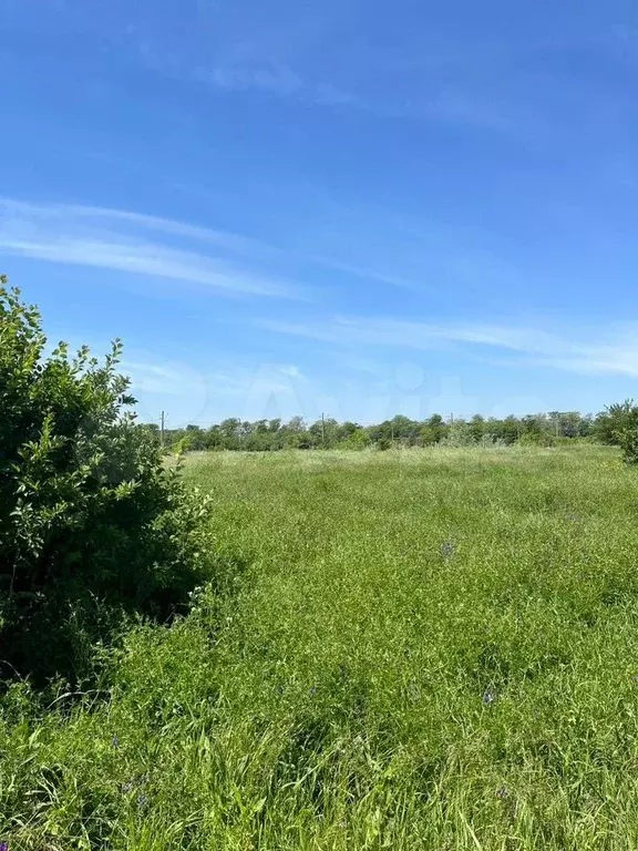 Участок 11 сот. (ИЖС) - Фото 0