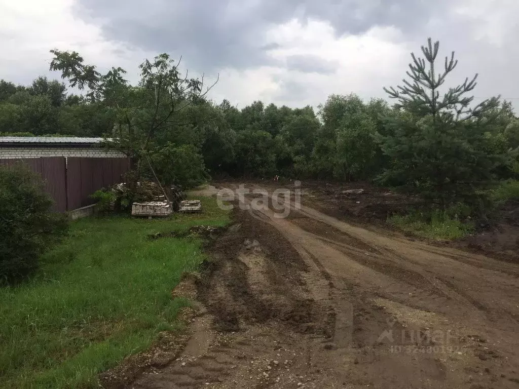 Участок в Амурская область, Благовещенск городской округ, пос. ... - Фото 1