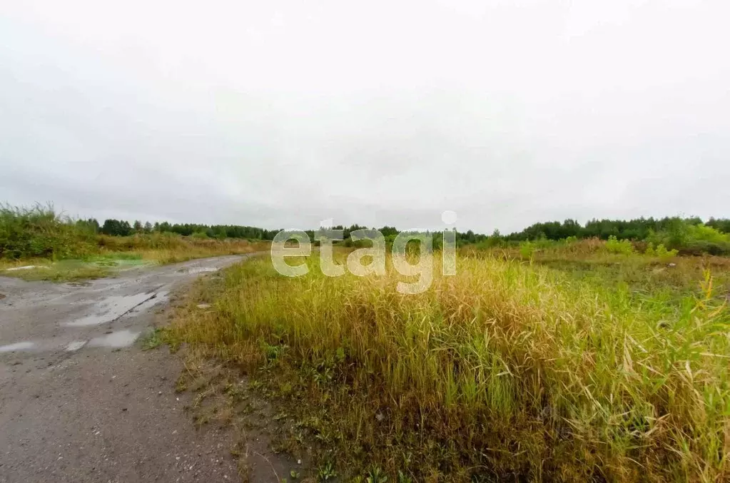 Участок в Курганская область, Шадринск Промышленная ул. (489.36 сот.) - Фото 2