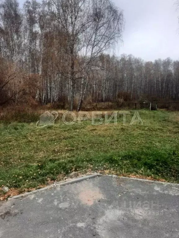 Участок в Тюменская область, Ялуторовский муниципальный округ, с. ... - Фото 2