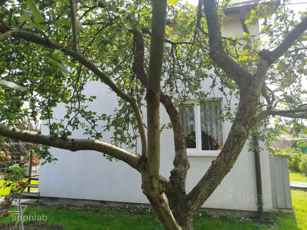 Дом в Калининградская область, Калининград Золотой Петушок ДНТ, проезд ... - Фото 2