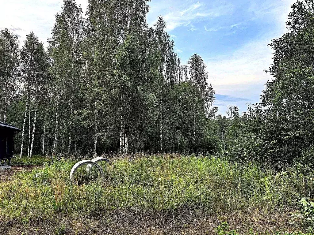 Участок в Ленинградская область, Всеволожский район, Колтушское ... - Фото 2