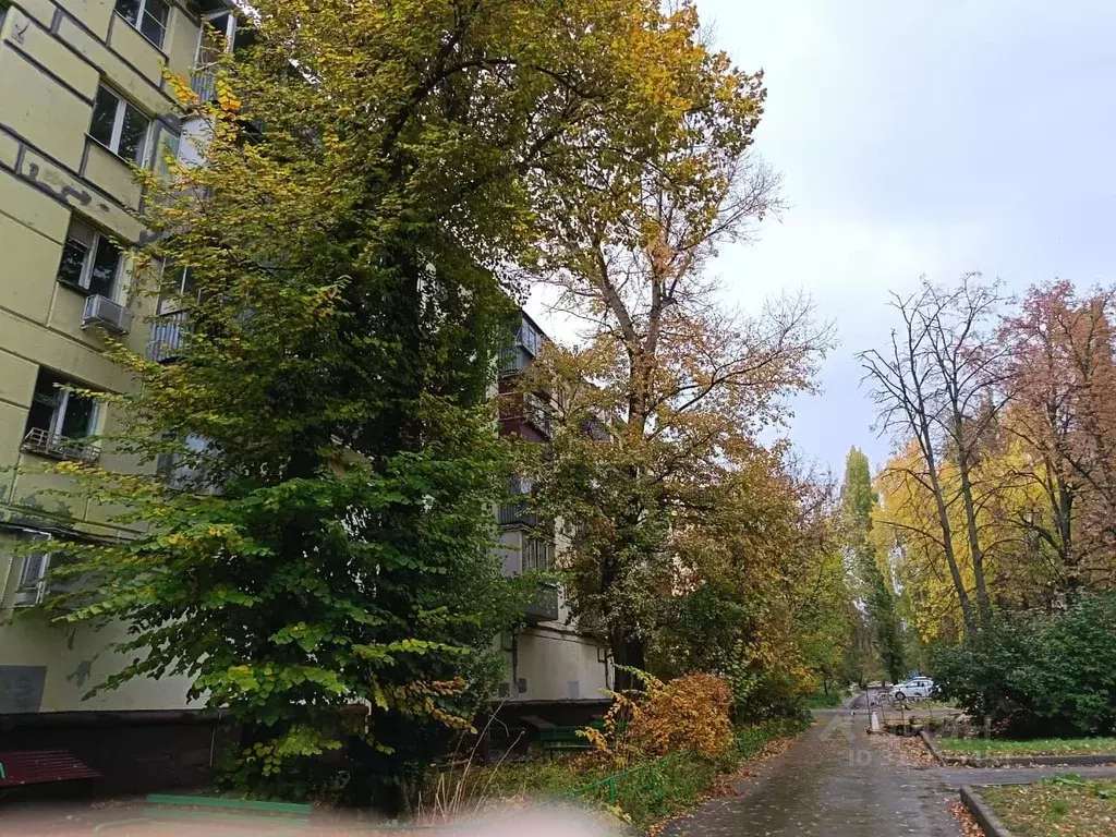 2-к кв. Липецкая область, Липецк ул. Валентины Терешковой, 2 (42.0 м) - Фото 1