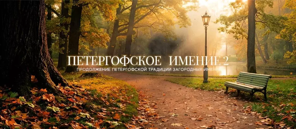 Участок в Ленинградская область, Ломоносовский район, д. Низино  (6.0 ... - Фото 1