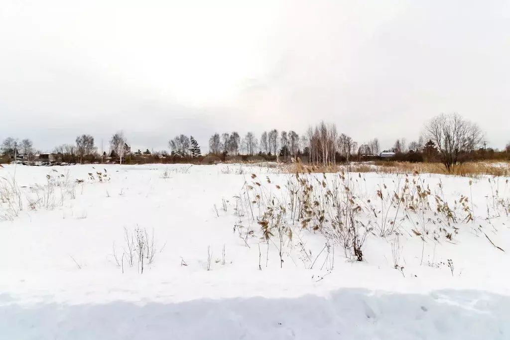 Участок в Тюмень, садоводческое некоммерческое товарищество Матрёшка, ... - Фото 2