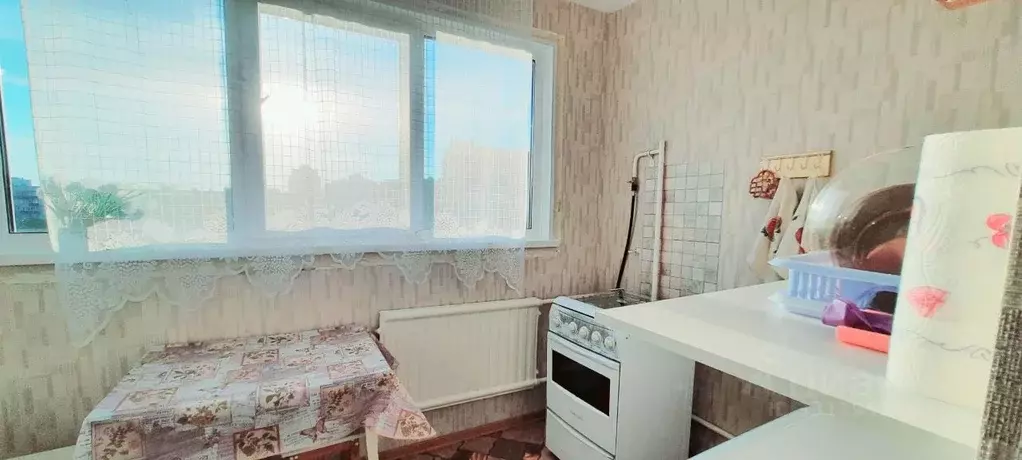 1-к кв. Санкт-Петербург просп. Культуры, 11К7 (32.0 м) - Фото 1