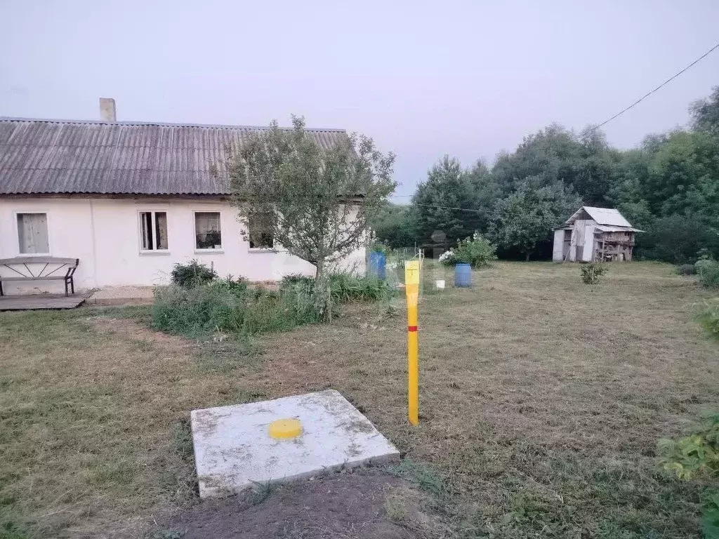 Дом в Тульская область, Воловский округ, д. Костомаровка 10 (51 м) - Фото 1