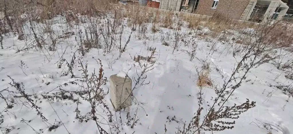 Участок в Курская область, Курский район, Моковский сельсовет, Зубков ... - Фото 0