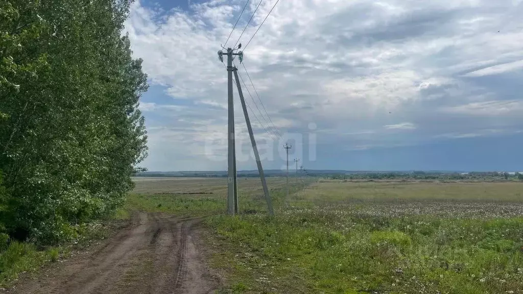 Участок в Татарстан, Лаишевский район, Чирповское с/пос, Богородский ... - Фото 1