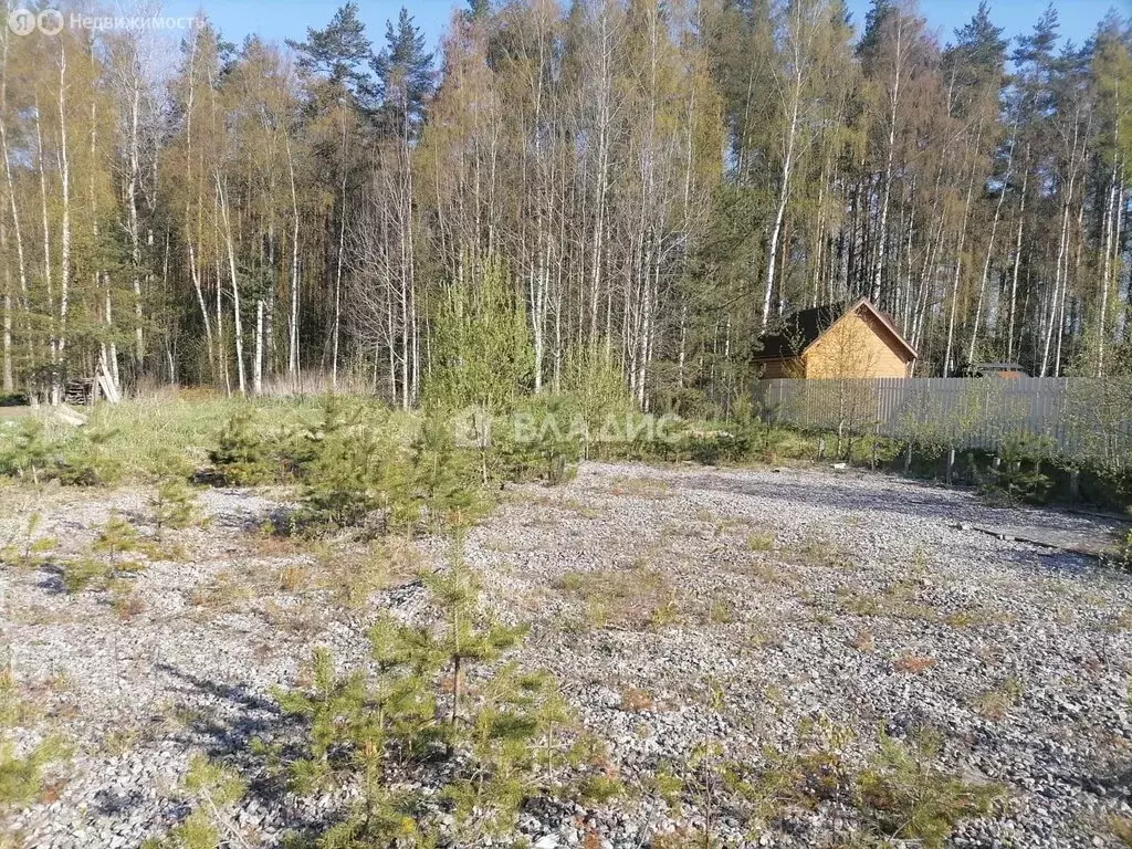 Участок в Рахьинское городское поселение, массив Проба, 138 (11 м) - Фото 0