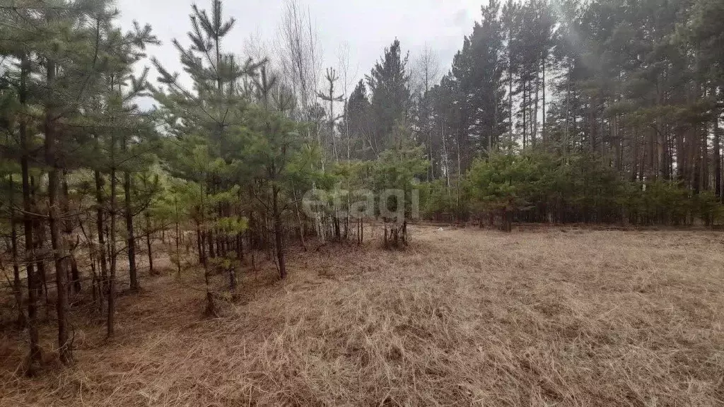 Участок в Забайкальский край, Читинский район, с. Смоленка  (8.1 сот.) - Фото 1