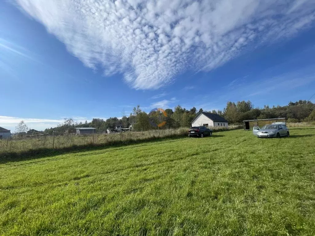 Участок в Новгородская область, Новгородский район, Трубичинское ... - Фото 1