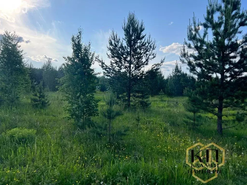 Участок в Свердловская область, Верхняя Пышма городской округ, д. ... - Фото 1