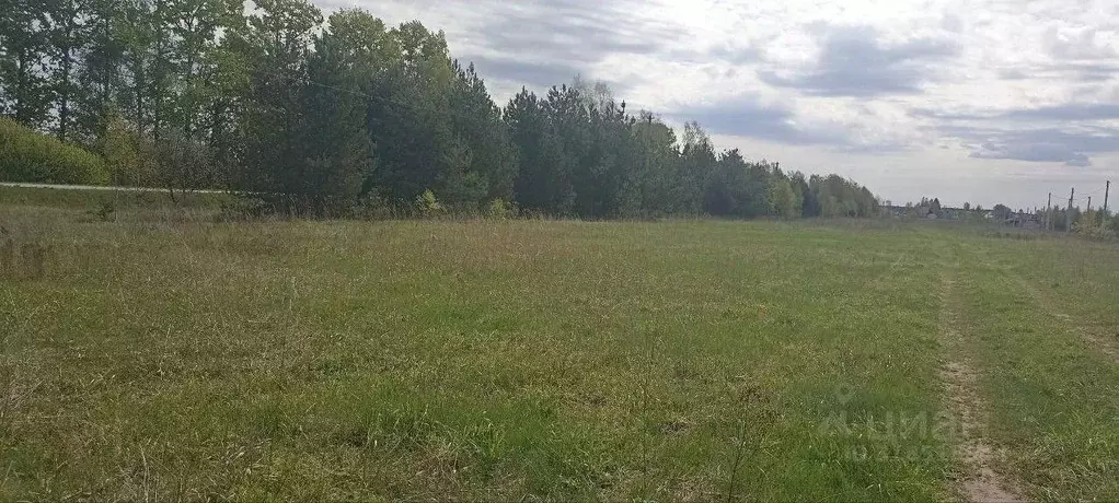 Участок в Московская область, Павлово-Посадский городской округ, д. ... - Фото 0