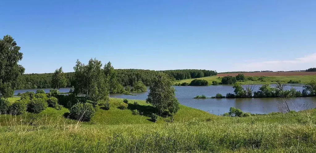 Участок в Московская область, Коломна городской округ, д. Подмалинки  ... - Фото 1