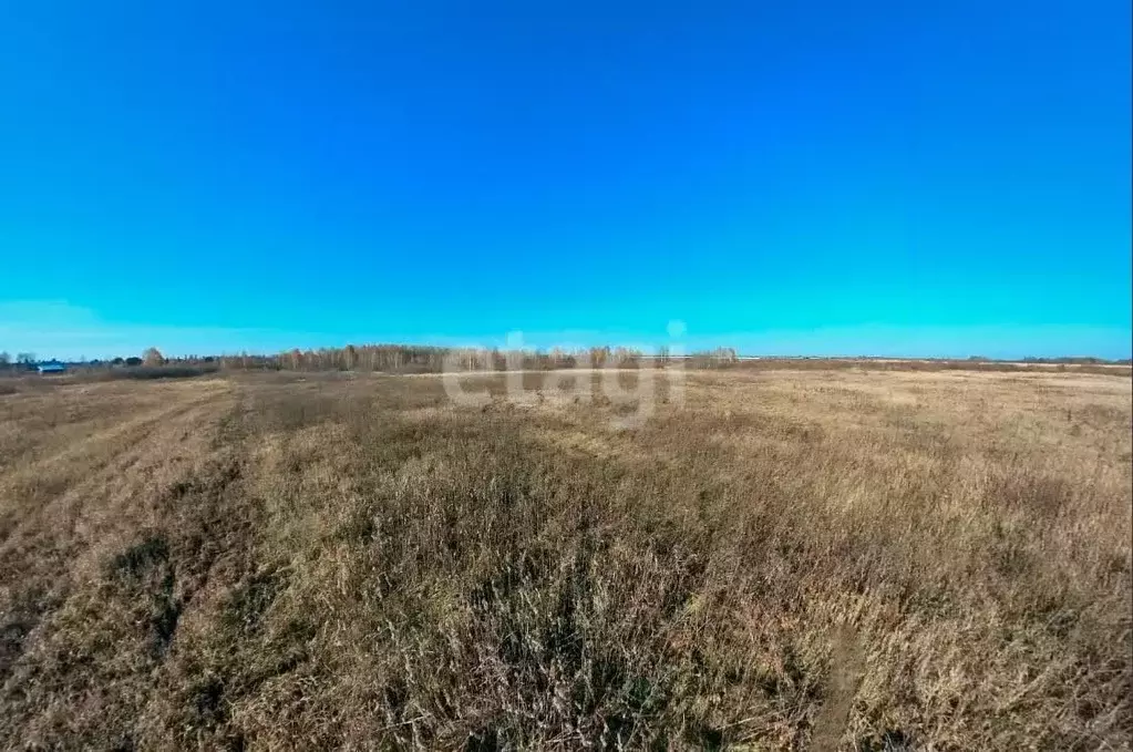 Участок в Тюменская область, Тюмень  (7.0 сот.) - Фото 0