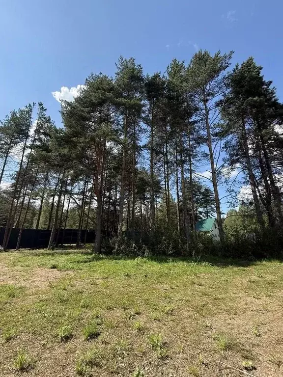 Участок в Новгородская область, Валдайский район, Рощинское с/пос, д. ... - Фото 1