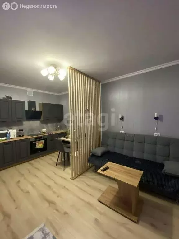 Квартира-студия: Абакан, Хакасская улица, 167 (30.1 м) - Фото 1