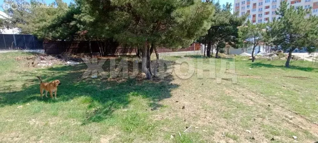 Участок в Севастополь, Муромская улица (8 м) - Фото 1