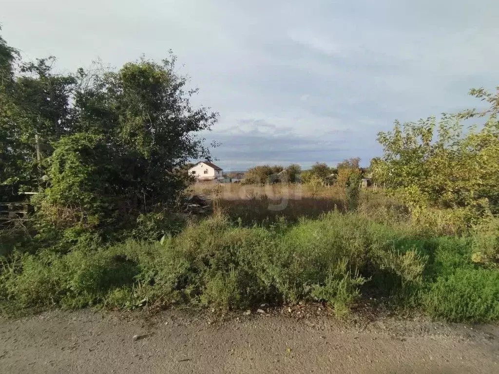 Участок в Краснодарский край, Анапа муниципальный округ, Чекон хут. ... - Фото 2