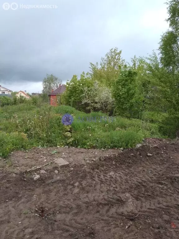 Участок в Ивангород, Садовая улица (13 м) - Фото 2