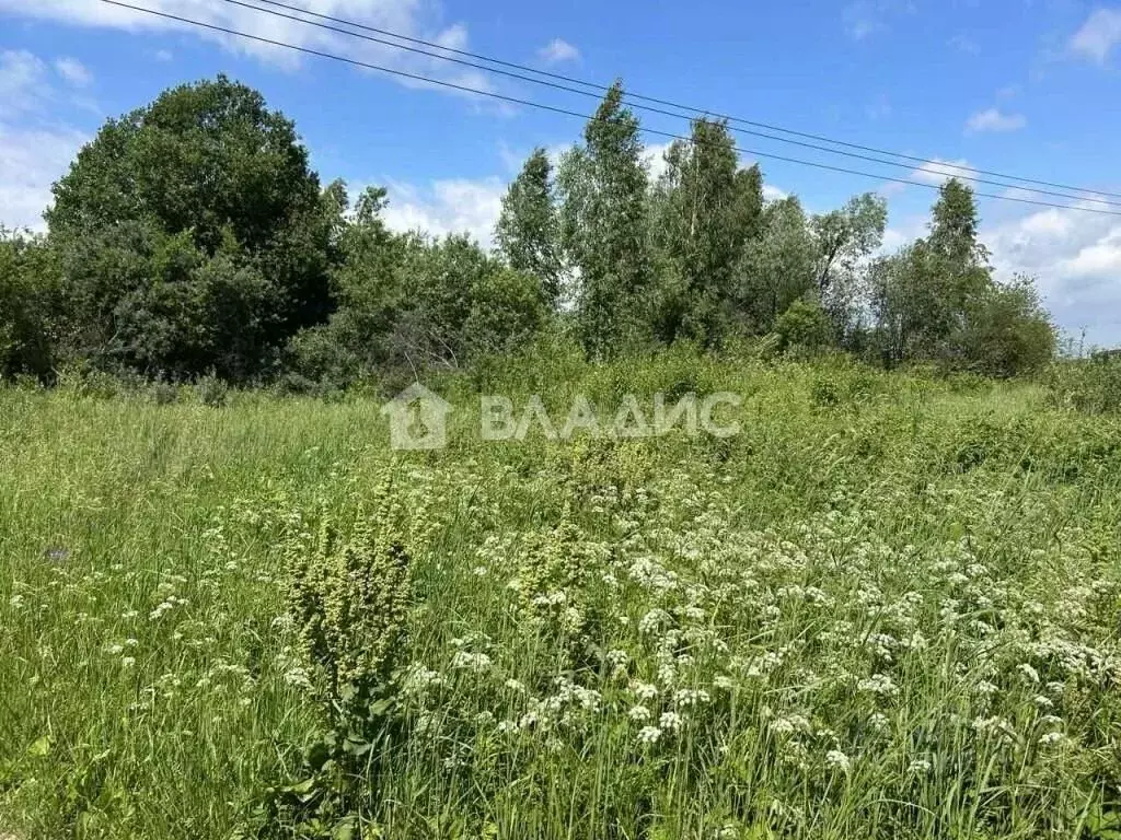 Участок в Нижегородская область, Богородский муниципальный округ, д. ... - Фото 1