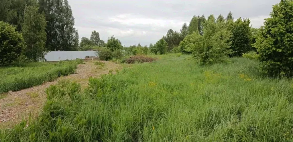 Участок в Московская область, Орехово-Зуевский городской округ, д. ... - Фото 1