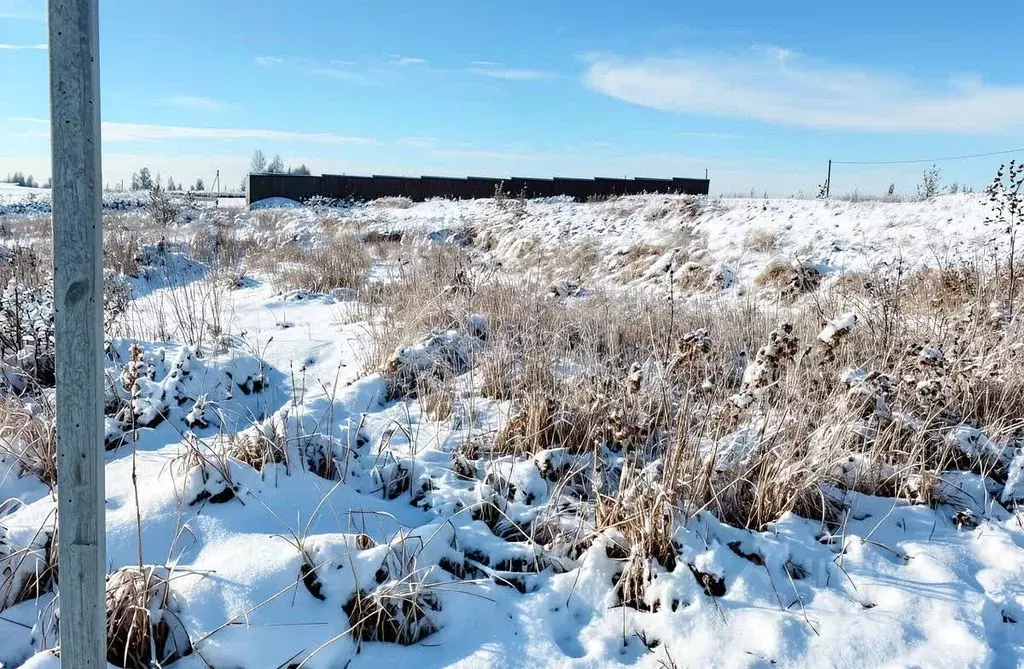Участок в Тульская область, Тула городской округ, пос. Торхово, ... - Фото 2