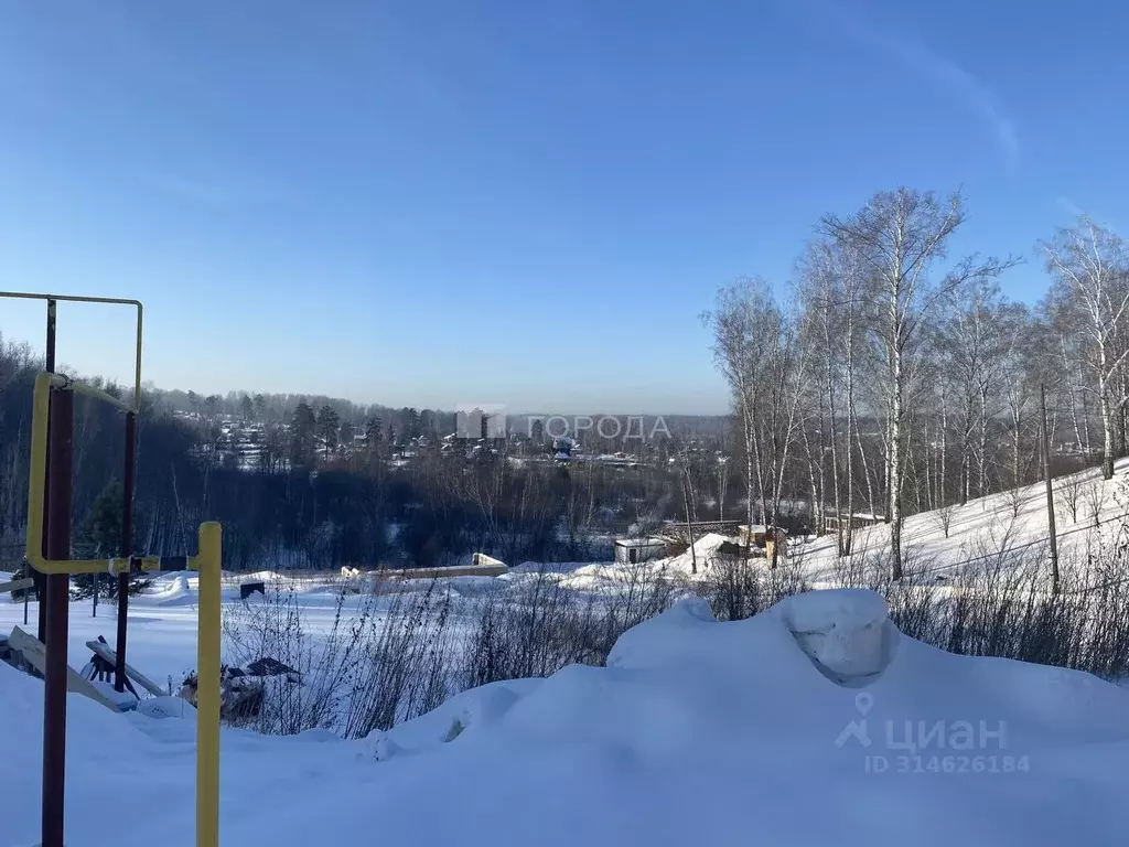 Участок в Новосибирская область, Новосибирский район, Барышевский ... - Фото 0