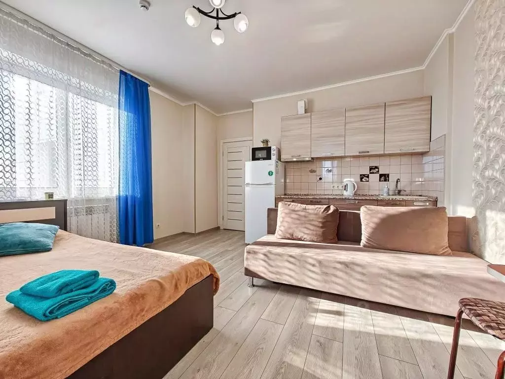 1-к кв. Новосибирская область, Новосибирск ул. Фрунзе, 49/2 (32.0 м) - Фото 1