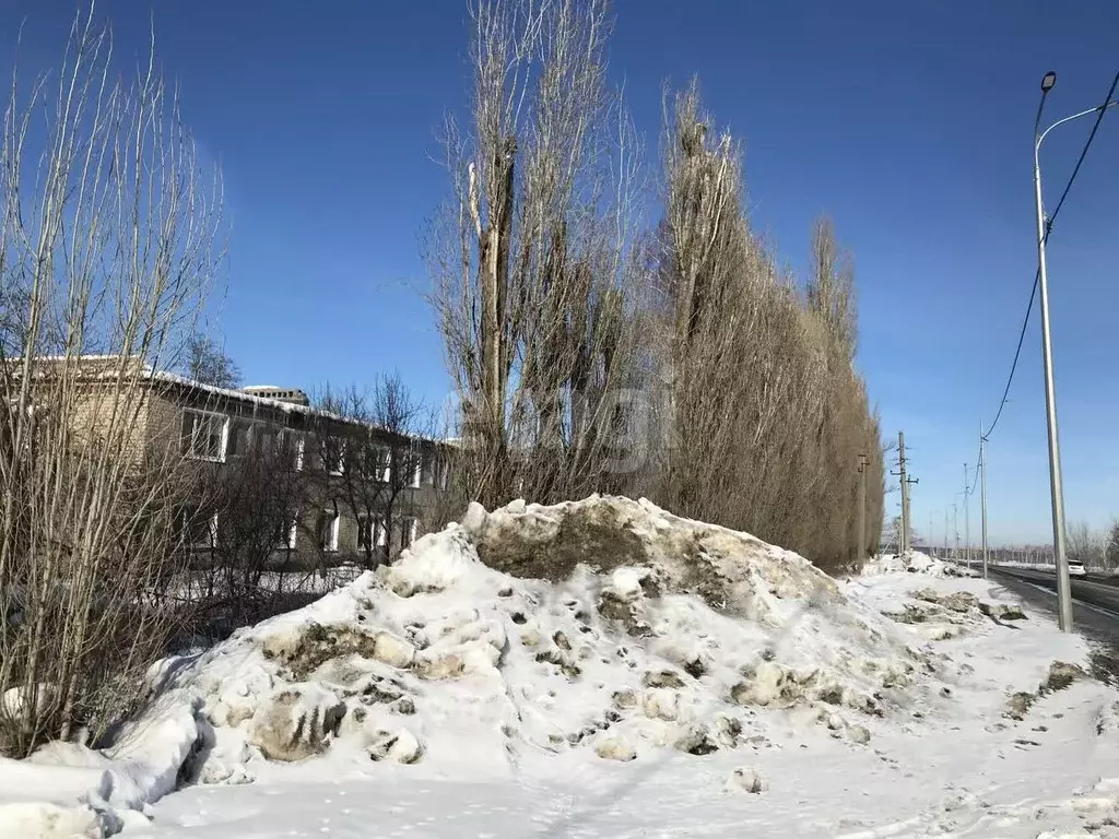 Участок в Саратовская область, Балашовский район, Хоперское ... - Фото 1