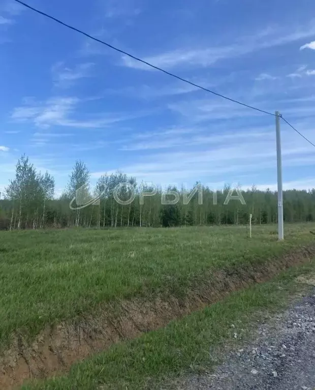 Участок в Тюменская область, Тюменский район, с. Червишево ул. ... - Фото 0
