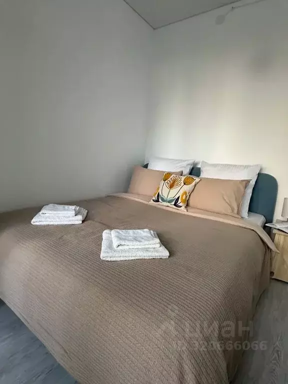 1-к кв. Санкт-Петербург просп. Обуховской обороны, 36 (29.0 м) - Фото 2