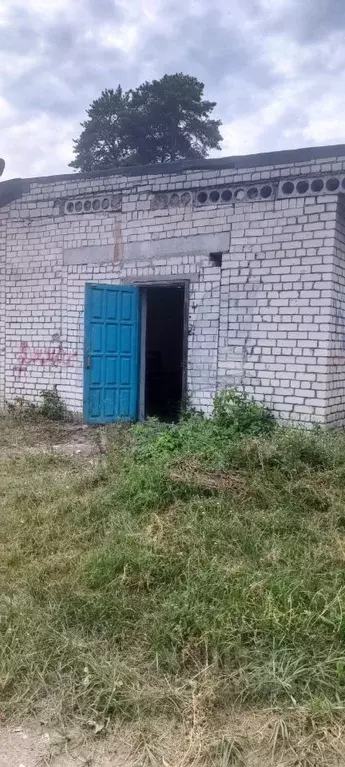 Помещение свободного назначения в Нижегородская область, Выкса ул. ... - Фото 0
