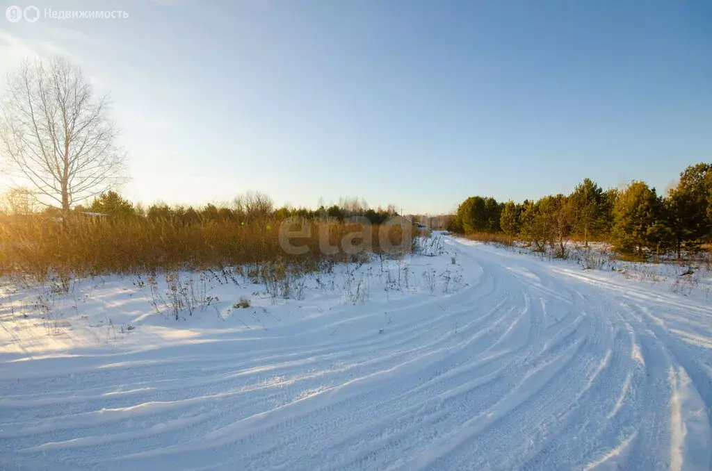 Участок в Заводоуковск, СНТ Колос (15 м) - Фото 1